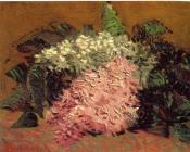 丁香 - 文森特·威廉·梵高